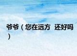 爷爷（您在远方  还好吗）