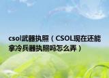 csol武器执照（CSOL现在还能拿冷兵器执照吗怎么弄）
