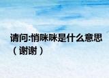 请问:悄咪咪是什么意思（谢谢）