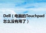 Dell（电脑的Touchpad怎么没有用了）