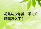 花儿与少年第二季（许晴是怎么了）
