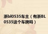 浙bl0535车主（有浙BL0535这个车牌吗）