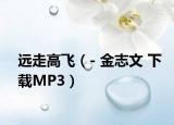 远走高飞（- 金志文 下载MP3）
