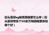 街头篮球sg暗黑西格蒙怎么样（街头篮球想练个SG安万特西格蒙赤焰哪个好）