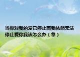 当你对我的爱已停止而我依然无法停止爱你我该怎么办（急）