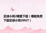 足球小将2哪里下载（哪能免费下载足球小将2002?）