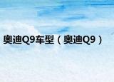 奥迪Q9车型（奥迪Q9）