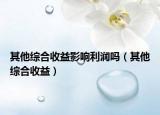 其他综合收益影响利润吗（其他综合收益）