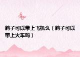 鸽子可以带上飞机么（鸽子可以带上火车吗）