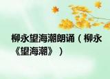 柳永望海潮朗诵（柳永《望海潮》）