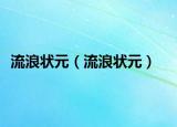 流浪状元（流浪状元）