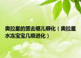 奥拉星的蛋去哪儿孵化（奥拉星水冻宝宝几级进化）