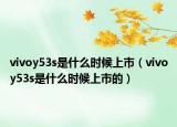 vivoy53s是什么时候上市（vivoy53s是什么时候上市的）