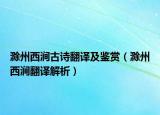 滁州西涧古诗翻译及鉴赏（滁州西涧翻译解析）