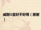 威刚U盘好不好用（谢谢）