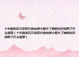 十年旅拍百万张照片的杭州大姐火了她的经历说明了什么道理（十年旅拍百万张照片的杭州大姐火了她的经历说明了什么道理）