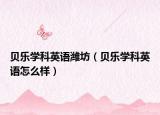 贝乐学科英语潍坊（贝乐学科英语怎么样）