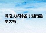 湖南大桥排名（湖南最高大桥）