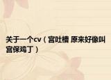 关于一个cv（宫吐槽 原来好像叫宫保鸡丁）