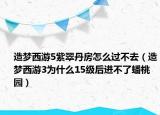 造梦西游5紫翠丹房怎么过不去（造梦西游3为什么15级后进不了蟠桃园）