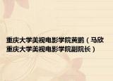 重庆大学美视电影学院黄鹏（马欣 重庆大学美视电影学院副院长）