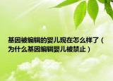 基因被编辑的婴儿现在怎么样了（为什么基因编辑婴儿被禁止）