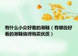 有什么小众好看的潮鞋（有哪些好看的潮鞋值得购买优质）