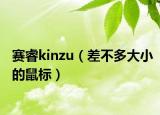 赛睿kinzu（差不多大小的鼠标）