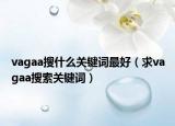 vagaa搜什么关键词最好（求vagaa搜索关键词）