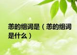 恙的组词是（恙的组词是什么）