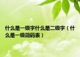 什么是一级字什么是二级字（什么是一级简码表）