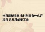 当日最新消息 农村创业有什么好项目 这几种前景不错
