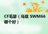 CF毛瑟（乌兹 SWM66哪个好）