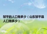 邹平的人口有多少（山东邹平县人口有多少）