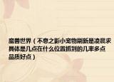 魔兽世界（不息之影小宠物刷新是凌晨求具体是几点在什么位置抓到的几率多点 品质好点）