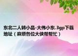 东北二人转小品-大伟小东.3gp下载地址（麻烦各位大侠帮帮忙）