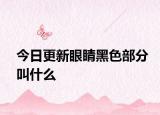 今日更新眼睛黑色部分叫什么