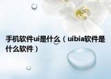 手机软件ui是什么（uibia软件是什么软件）