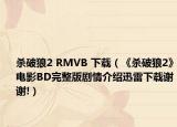 杀破狼2 RMVB 下载（《杀破狼2》电影BD完整版剧情介绍迅雷下载谢谢!）