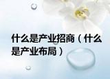 什么是产业招商（什么是产业布局）
