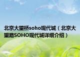 北京大望桥soho现代城（北京大望路SOHO现代城详细介绍）