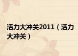 活力大冲关2011（活力大冲关）