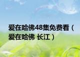 爱在哈佛48集免费看（爱在哈佛 长江）