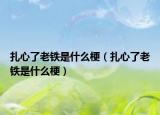 扎心了老铁是什么梗（扎心了老铁是什么梗）