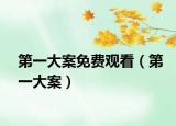 第一大案免费观看（第一大案）