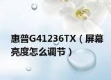 惠普G41236TX（屏幕亮度怎么调节）