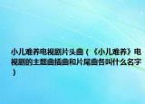 小儿难养电视剧片头曲（《小儿难养》电视剧的主题曲插曲和片尾曲各叫什么名字）