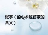 张宇（的心术这首歌的含义）
