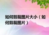 如何剪裁图片大小（如何剪裁图片）
