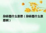 杂碎是什么意思（杂碎是什么意思啊）